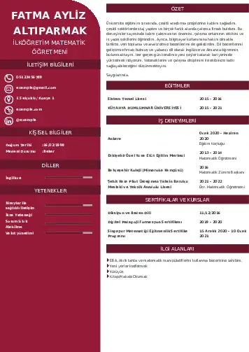 Matematik Öğretmeni Cv Örnekleri cv indir